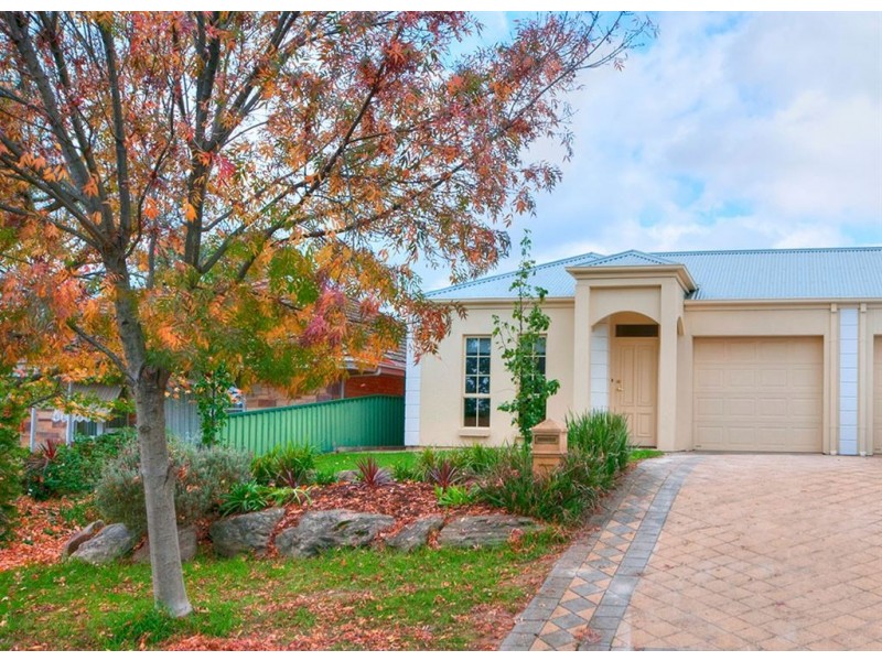 12 Caloroga Street, Wattle Park SA 5066