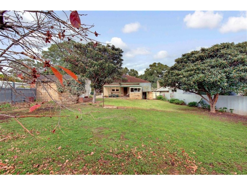 7 Murray Avenue, Magill SA 5072