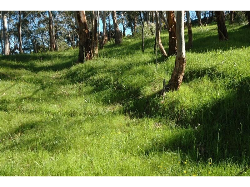 763 Greenhill Rd, (adj Burnside), Greenhill SA 5140