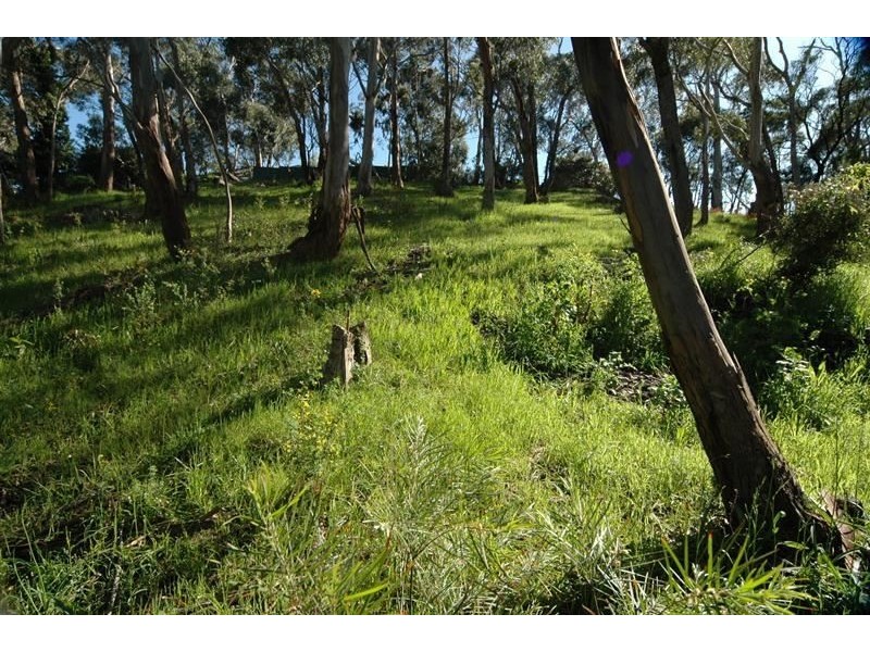 763 Greenhill Rd, (adj Burnside), Greenhill SA 5140