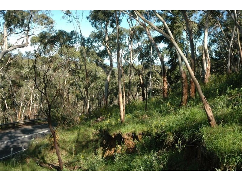 763 Greenhill Rd, (adj Burnside), Greenhill SA 5140