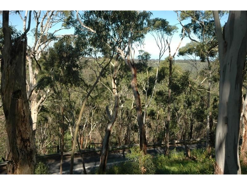 763 Greenhill Rd, (adj Burnside), Greenhill SA 5140