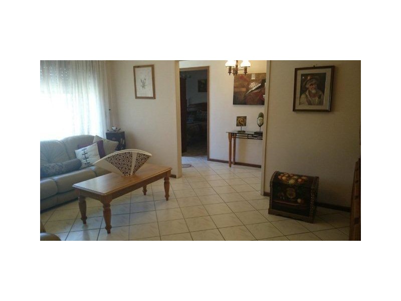 11 Ellythorp Avenue, Hectorville SA 5073