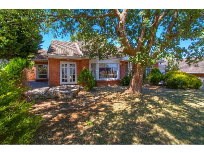 482 Kensington Road, Wattle Park SA 5066