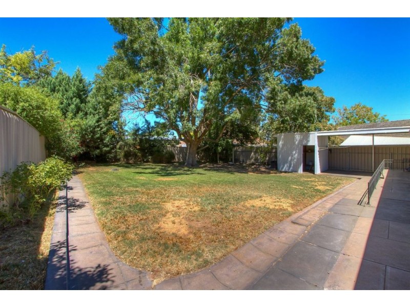 482 Kensington Road, Wattle Park SA 5066