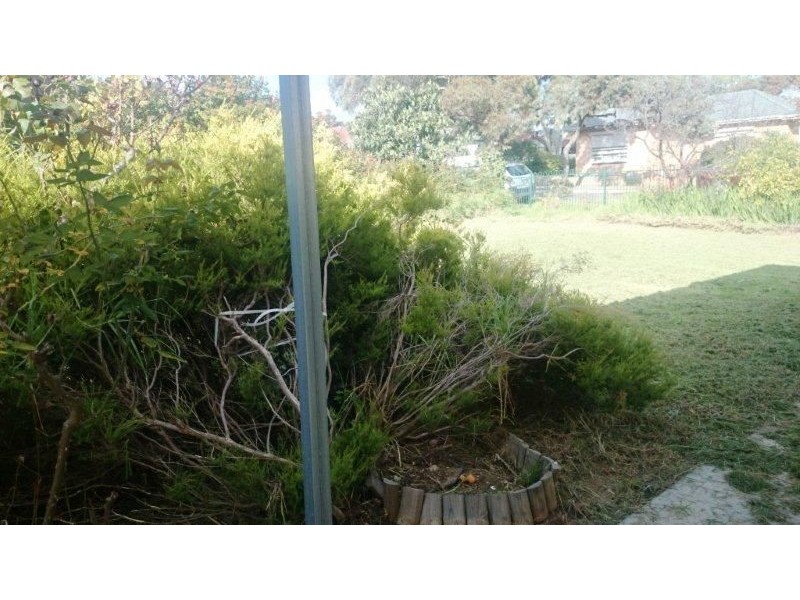 23 Maud Street, Rostrevor SA 5073