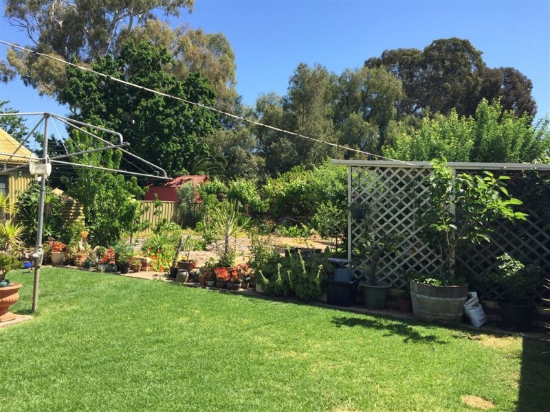 3 Barnes Avenue, Magill SA 5072