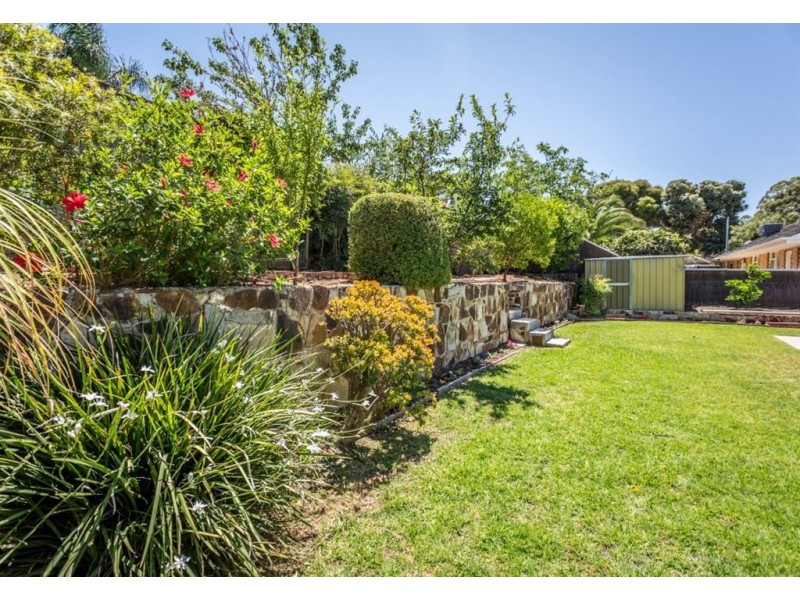 13 Richardson Avenue, Tranmere SA 5073