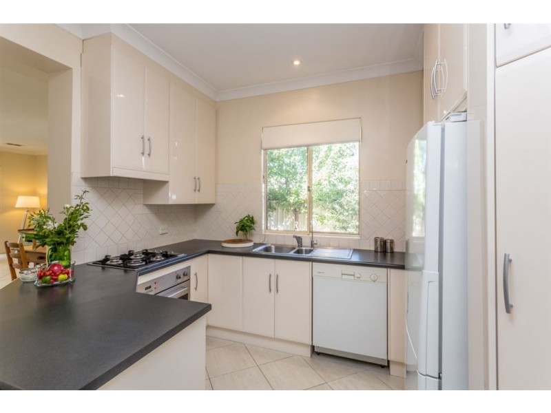 22 Ryan Avenue, Firle SA 5070