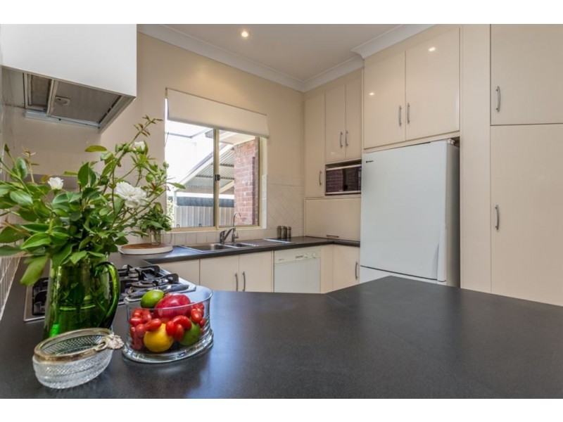 22 Ryan Avenue, Firle SA 5070