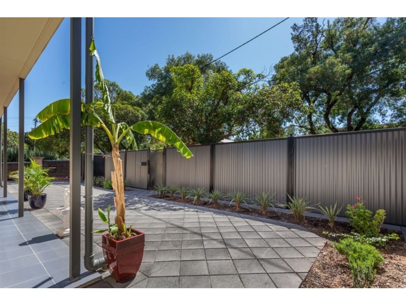 1A Hall Street, Fullarton SA 5063