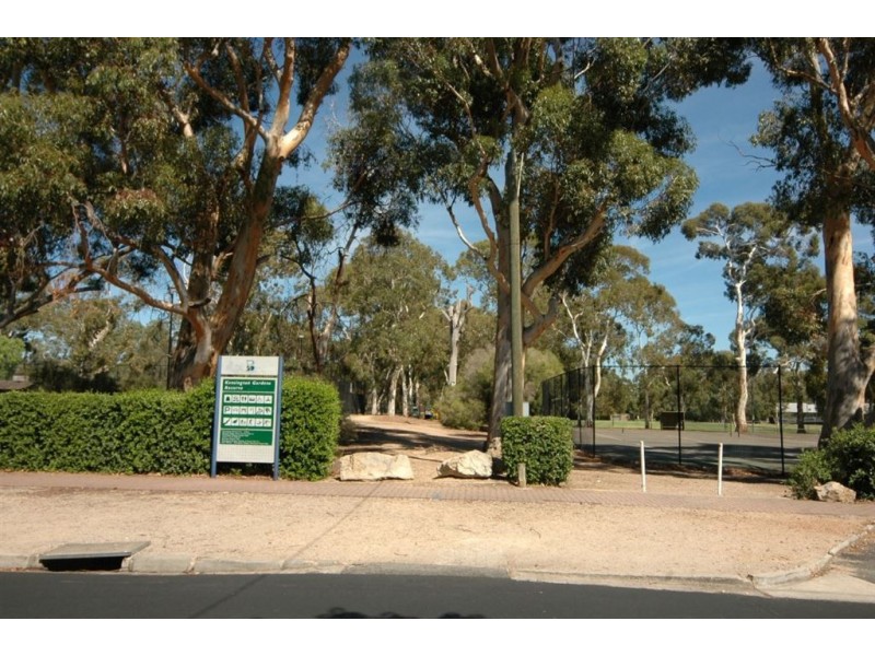 54 Hyland Terrace, Rosslyn Park SA 5072