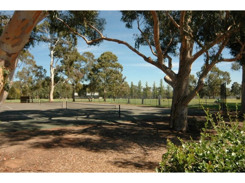 54 Hyland Terrace, Rosslyn Park SA 5072