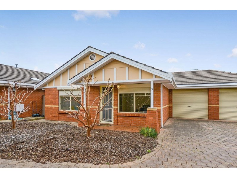 3/19 Shelley Street, Firle SA 5070