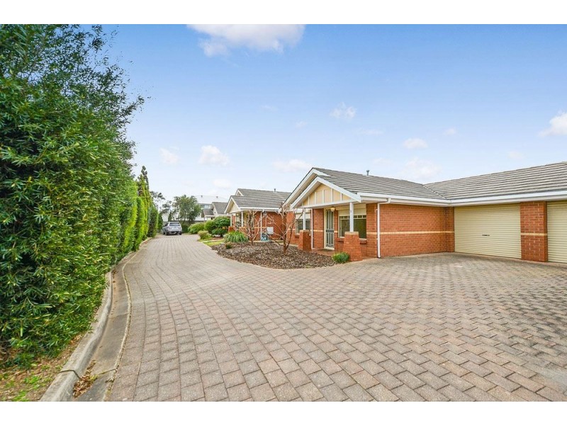 3/19 Shelley Street, Firle SA 5070