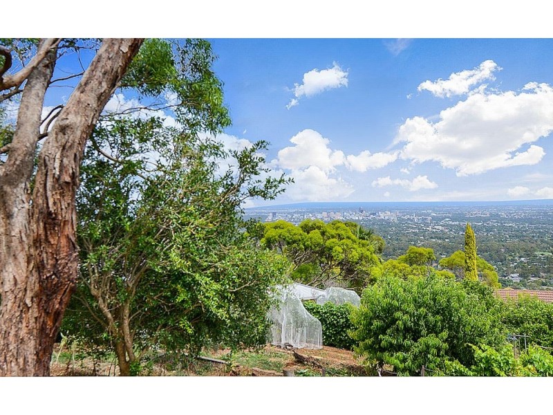 43 Knox Terrace, Skye SA 5072