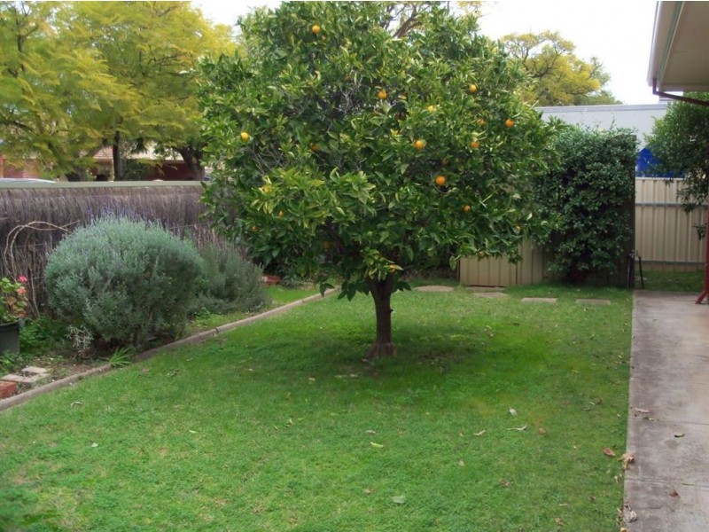 3/2 Malvern Avenue, Malvern SA 5061