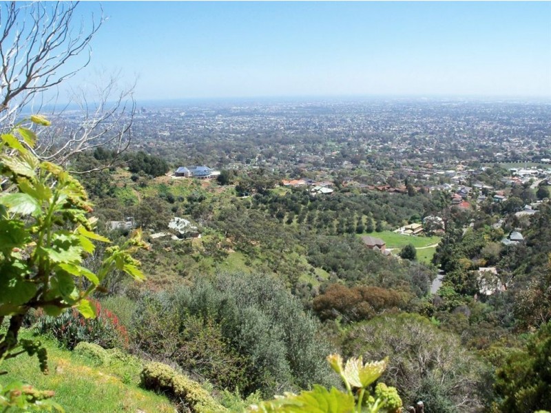 54 Knox Terrace, Skye SA 5072