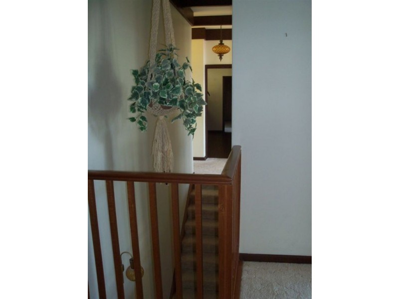 54 Knox Terrace, Skye SA 5072