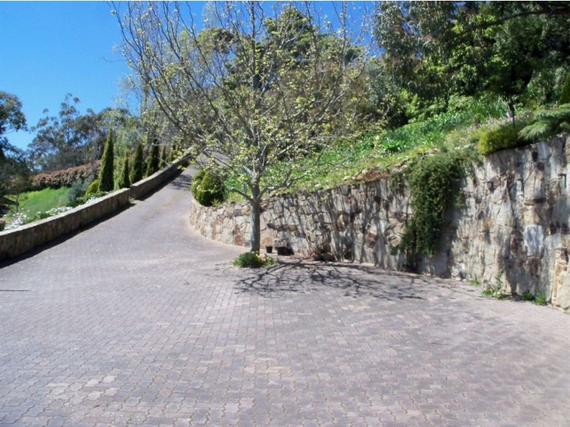 54 Knox Terrace, Skye SA 5072