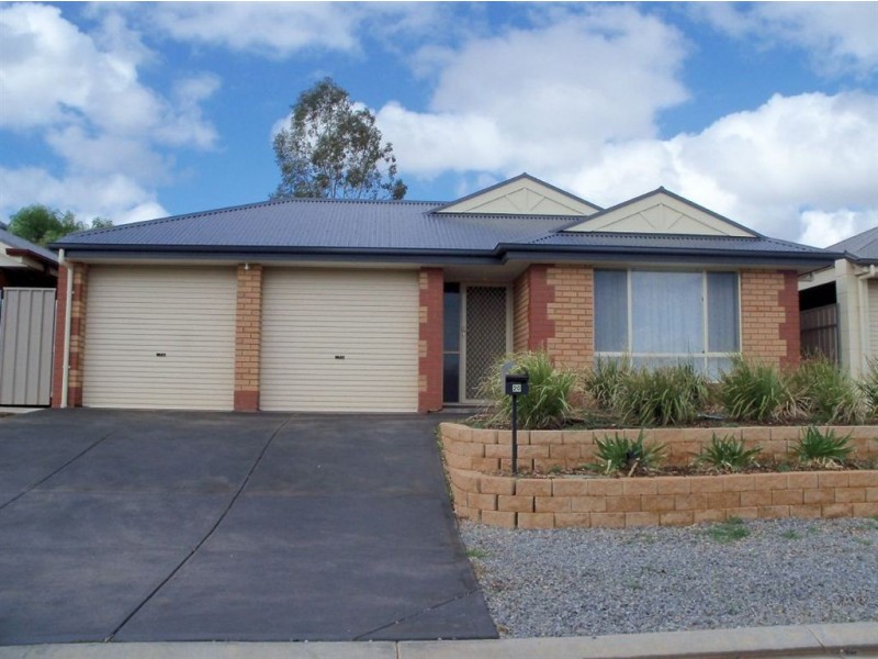 20 Netherby Drive, Evanston Park SA 5116