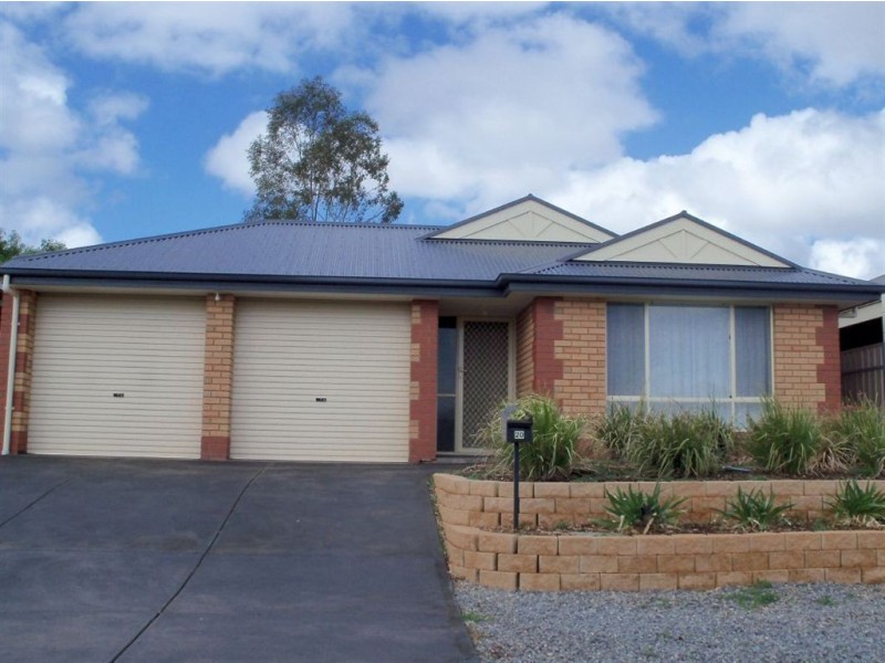 20 Netherby Drive, Evanston Park SA 5116