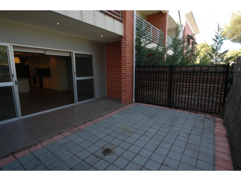 54 Grasswren Way, Mawson Lakes SA 5095