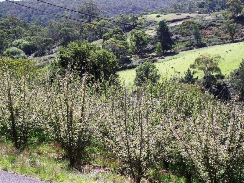 22 Debneys Road, Norton Summit SA 5136