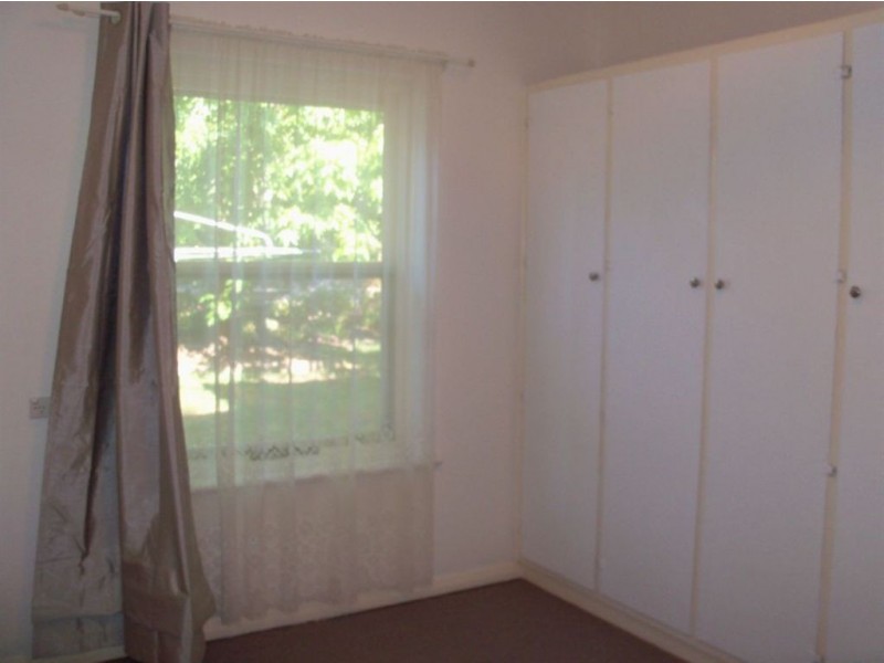 11 Primrose Avenue, Paradise SA 5075