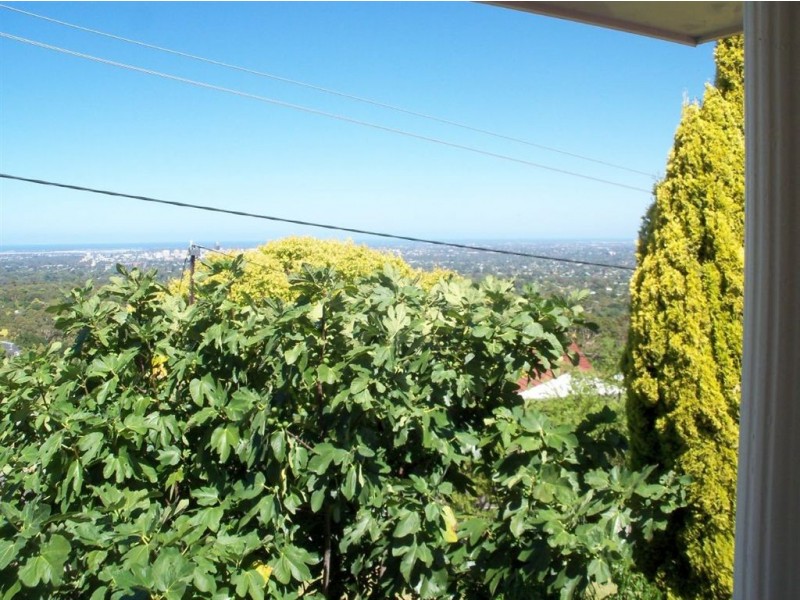 519 Kensington Road, Wattle Park SA 5066