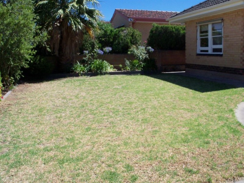 9 Windsor Avenue, Magill SA 5072