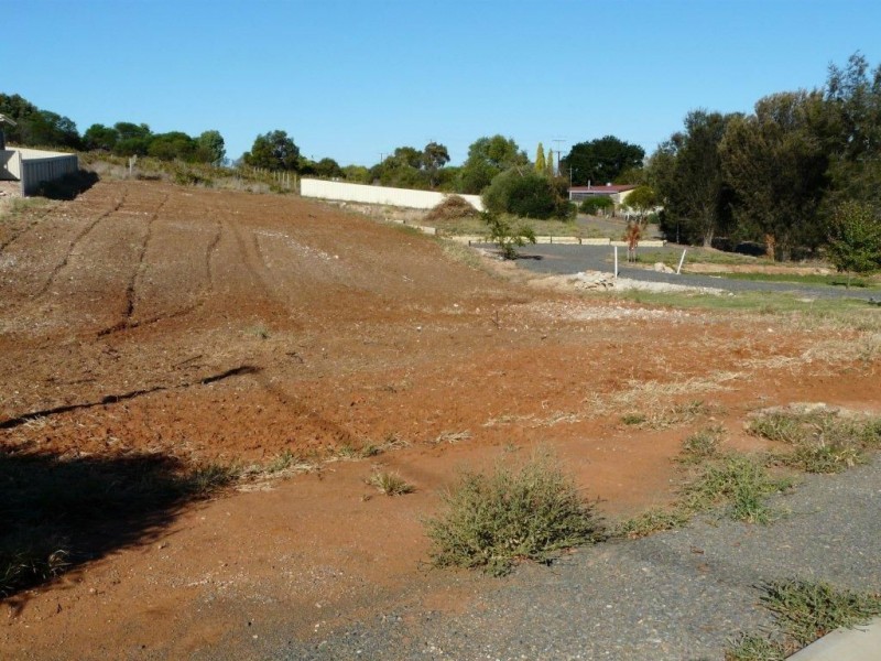 Lot 13 Bleechmore St, Auburn SA 5451