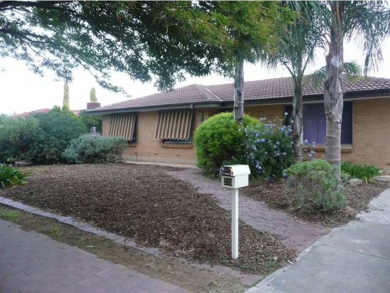 20 Brian Grove, Paradise SA 5075