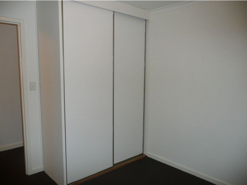 20 Brian Grove, Paradise SA 5075