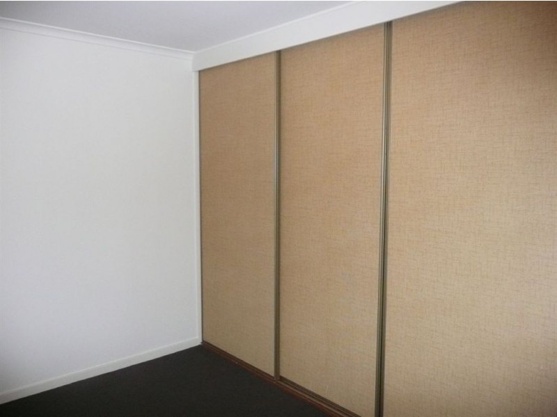 20 Brian Grove, Paradise SA 5075