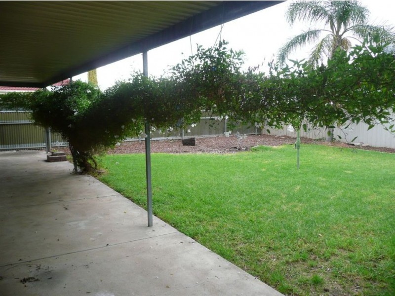20 Brian Grove, Paradise SA 5075