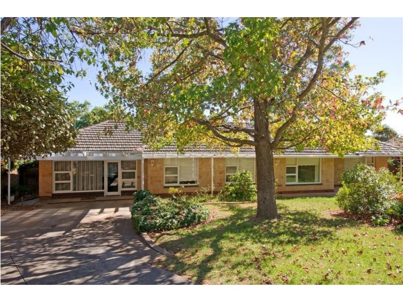 51 Crompton Drive, Wattle Park SA 5066