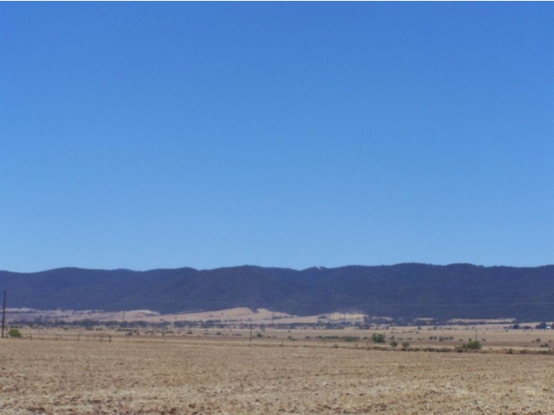 Lot 221 Highway One, Warnertown SA 5540