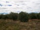 Lot 132 Scenic Drive, Napperby SA 5540