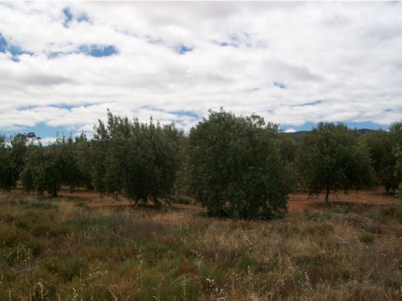 Lot 132 Scenic Drive, Napperby SA 5540