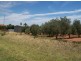 Lot 132 Scenic Drive, Napperby SA 5540