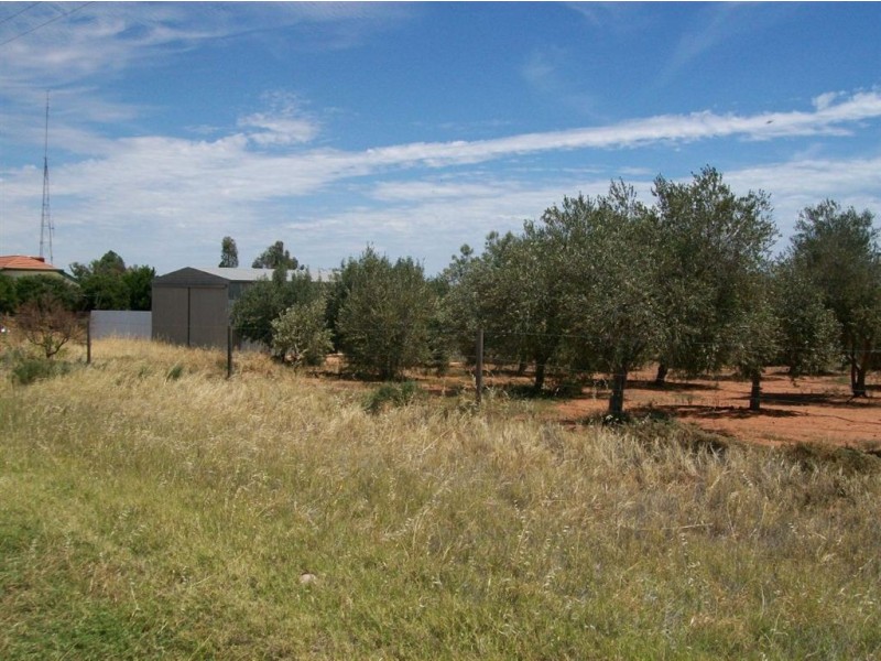 Lot 132 Scenic Drive, Napperby SA 5540