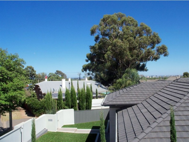 2 Austin Crescent, St Georges SA 5064