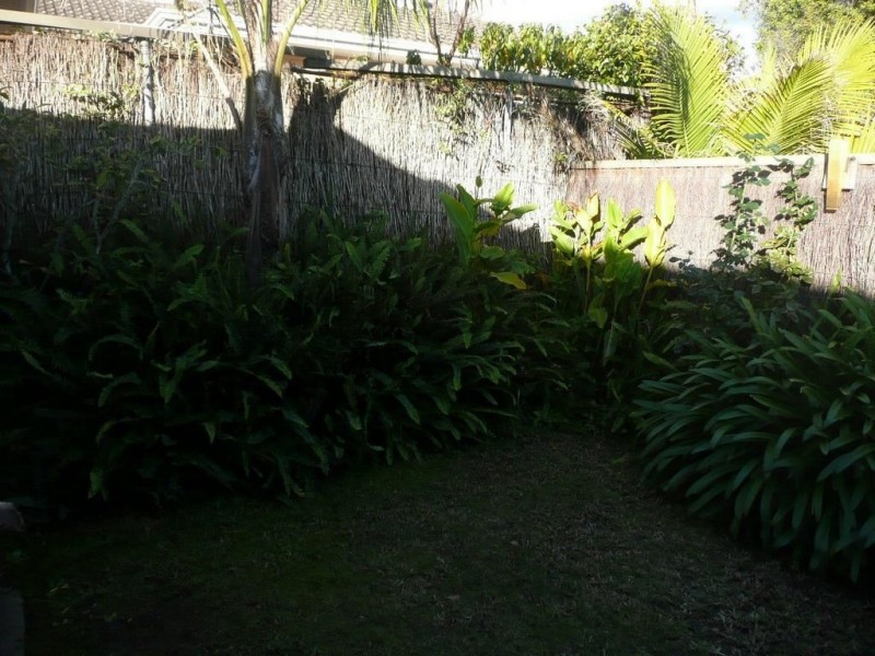 1/8 Godfrey Tce, Leabrook SA 5068