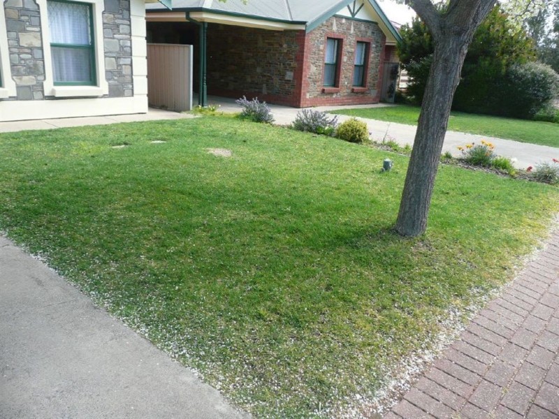 7a Acacia, Tanunda SA 5352