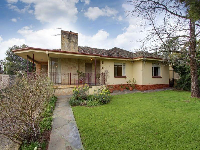 13 Fifeshire Avenue, St Georges SA 5064