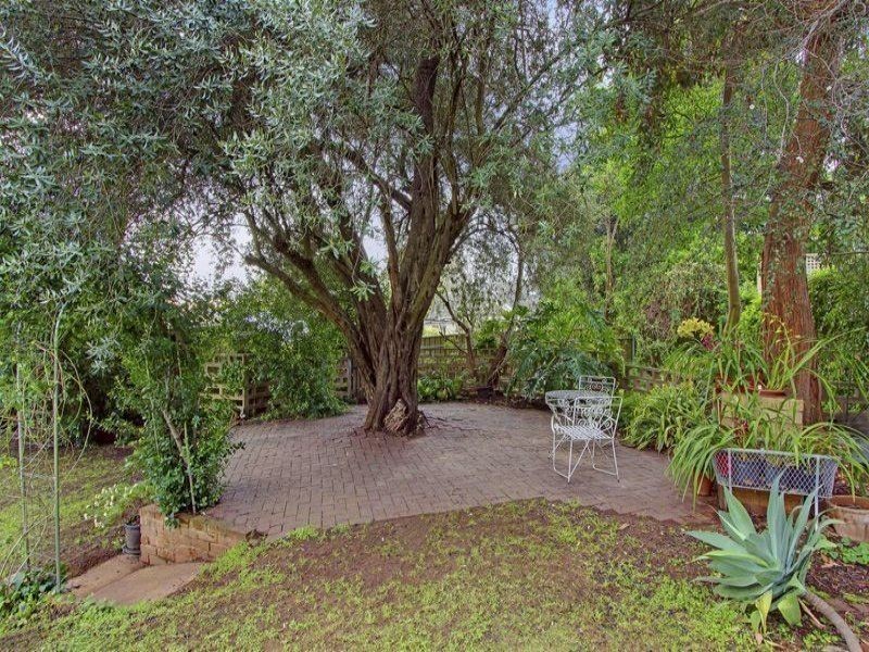 13 Fifeshire Avenue, St Georges SA 5064