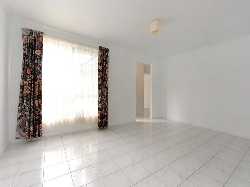 8 Walter Street, Thebarton SA 5031