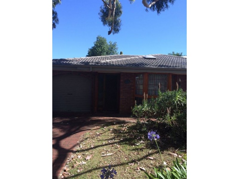 31a Koongarra Avenue, Magill SA 5072