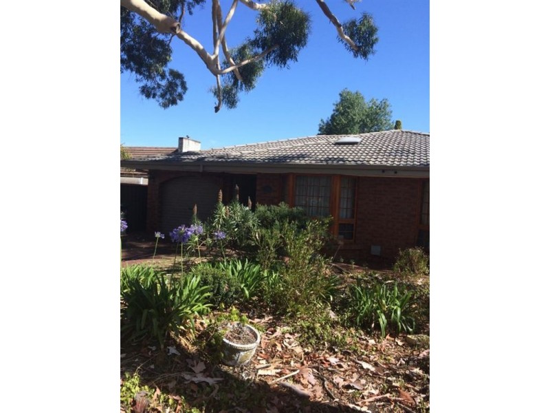 31a Koongarra Avenue, Magill SA 5072